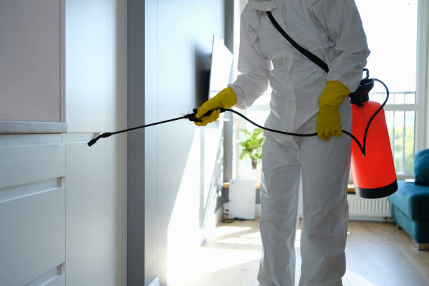 Best Residential Mold Removal  in Skokie, IL