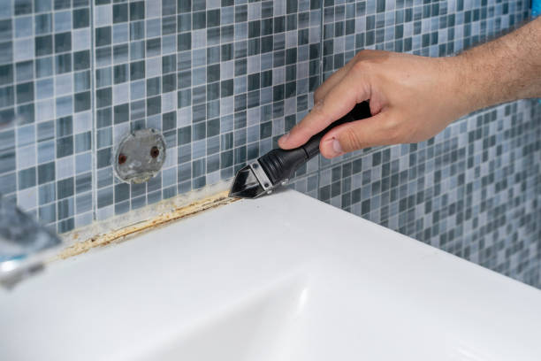 Best Office Mold Removal Services  in Skokie, IL